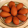 Nakli Badam