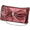 Party / Evening Wear Bag for Women